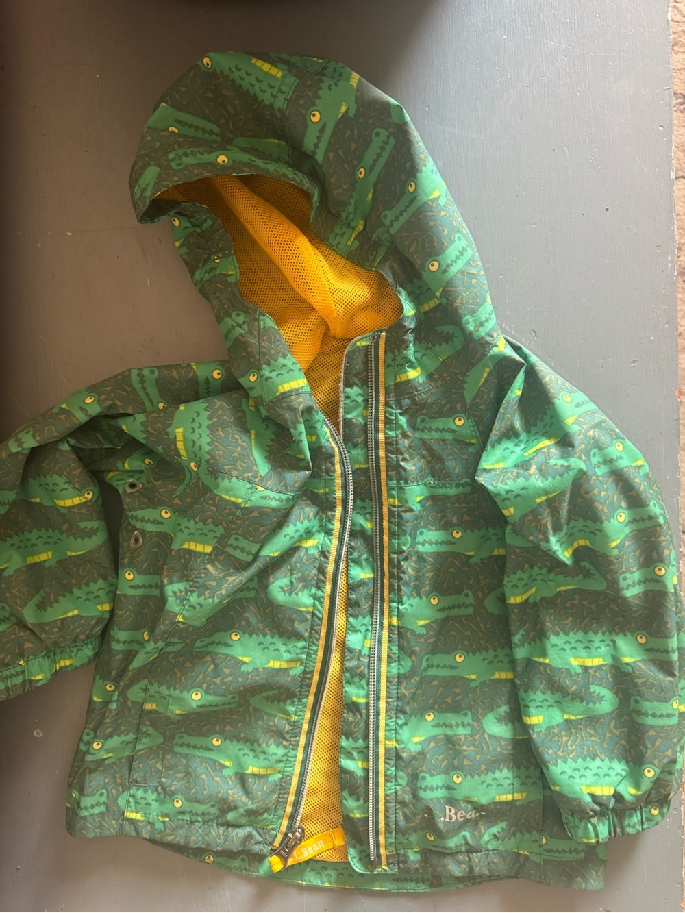 L.L. Bean Green Crocodile-Print Hooded Raincoat with Yellow Lining